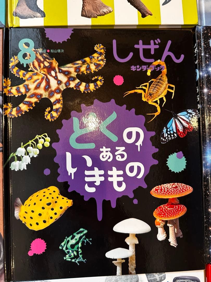 しぜん 絵本シリーズ 全12巻セット　フレーベル館　キンダーブック